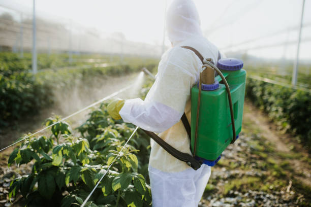Best Pest Removal Services  in Maypearl, TX